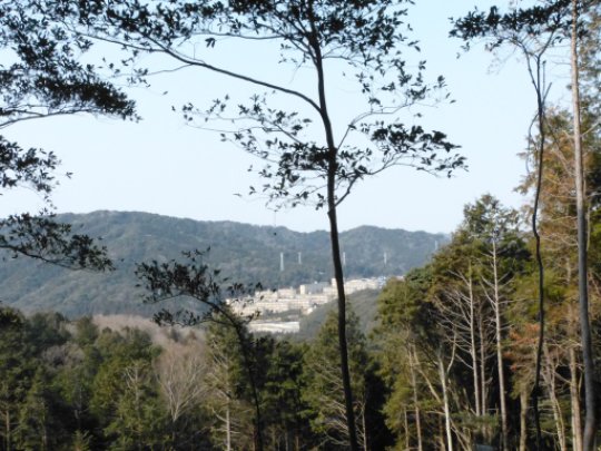 画像9